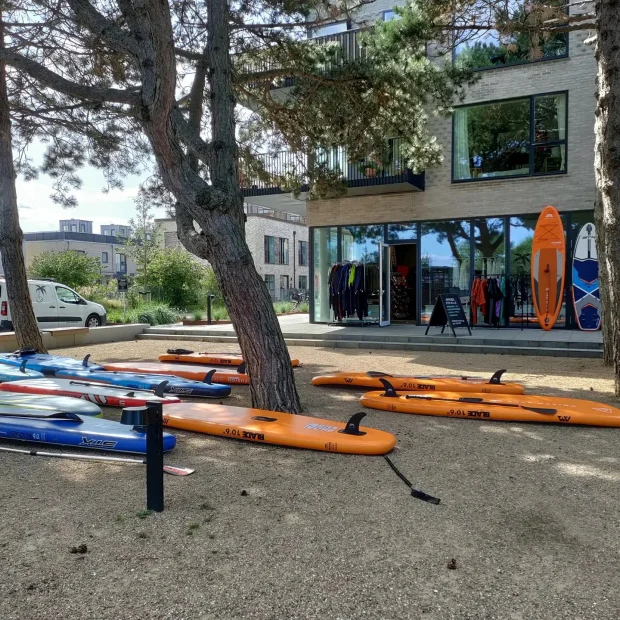 SUP-boards og udstyr ved Frozen Palm Tree på Amager Strand